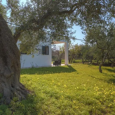 Casa Zampignola By Typney *