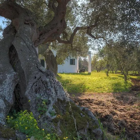 Apartment Casa Zampignola By Typney *